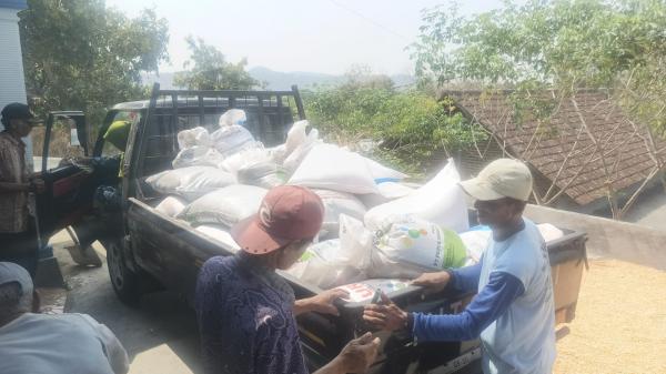 Petani Magetan Bongkar Modus Sunat Jatah Pupuk Subsidi 14% Tiap MT, Potensi Korupsi Ratusan Miliar?