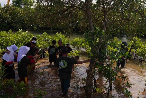 Dari Mangrove hingga Furnitur Daur Ulang, Warga Kutawaru Kian Berdaya
