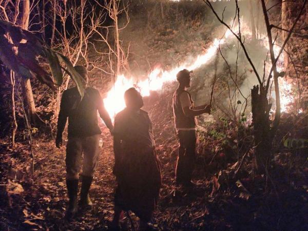 Gotong-Royong warga dan Petugas Jinakan Kebakaran Lahan Empat Hektar di Kebumen
