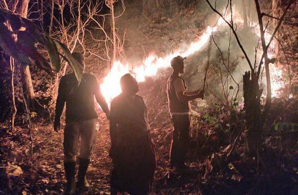 Kebakaran Lahan 4 Ha di Pejagoan Kebumen, Api Padam Setelah 4 Jam
