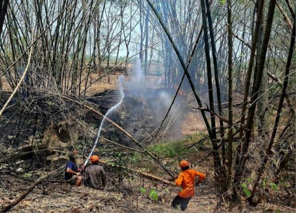 Lahan Bambu 1 Hektare di Toroh Grobogan Hangus Terbakar, Diduga Akibat Ulah OTK Bakar Sampah