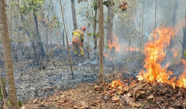 Dipicu Pembakaran Sampah, Lahan Seluas 4 Hektare di Kepohbaru Bojonegoro Dilalap Api