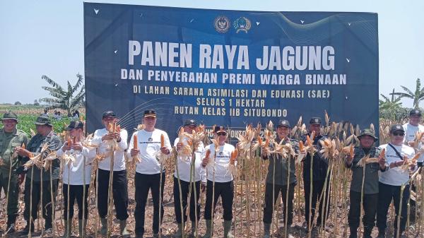 Panen Raya Jagung Rutan Situbondo Jadi Percontohan Nasional