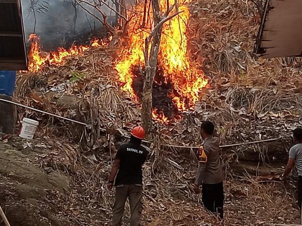 Lahan 2 Hektare Terbakar di Majene, Polsek Malunda Bersama Warga Jinakkan Api
