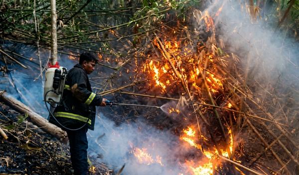 Kebakaran Lahan di Anreapi Melahap 10 Hektar Kebun Warga, Tim Gabungan Berjibaku Padamkan Api