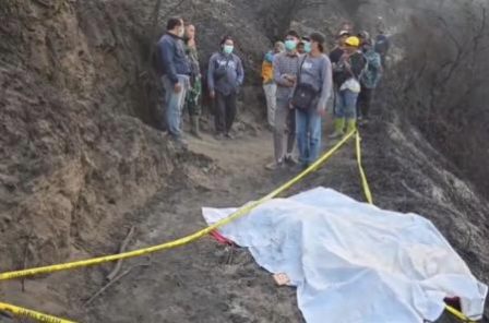 3 Petugas Gugur dan 3 Terluka, Karhutla Berputar Terembus Angin di Bromo