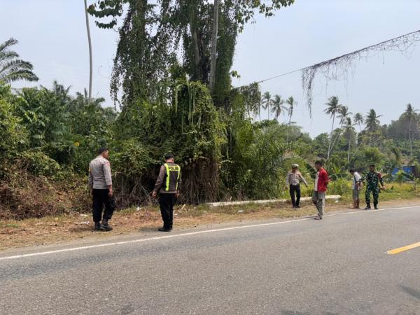 Motor Hilang Kendali Hantam Kerikil di Jalan Trans Sulawesi Pasangkayu, Satu Orang Tewas