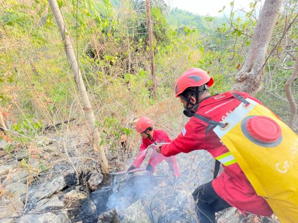 Kebakaran Karst Pangkep Meluas, 93 Hektare Kawasan TN Babul Terbakar
