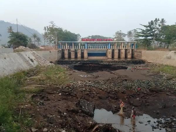 Potret Bendungan Way Gatel di Pringsewu: Air Menyusut, Warga Berburu Ikan