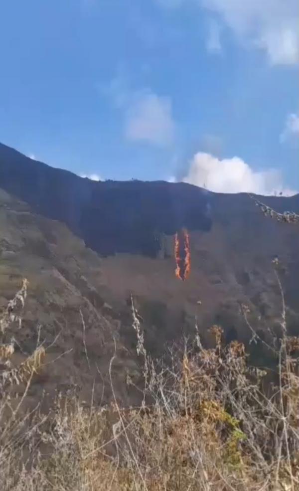 Karhutla Lereng Gunung Argopuro, 22 Hektare Areal Terbakar