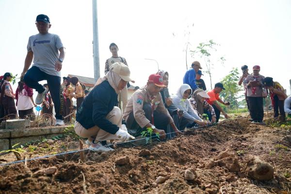 Green Action di Taman Bahari Mojopahit Mojokerto, Pohon Tua Diganti Tanaman Baru