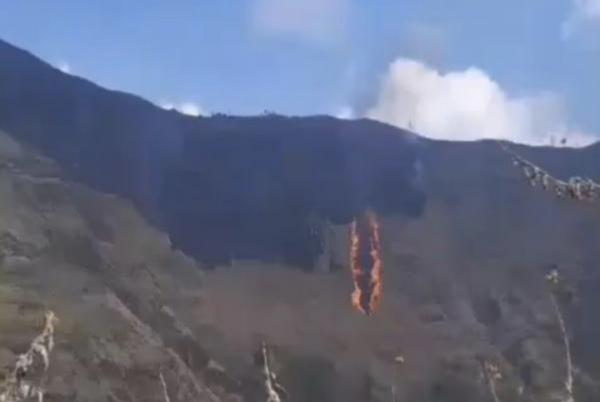 22 Hektare Hutan Argopuro Bondowoso Terbakar, Perhutani Gencarkan Patroli
