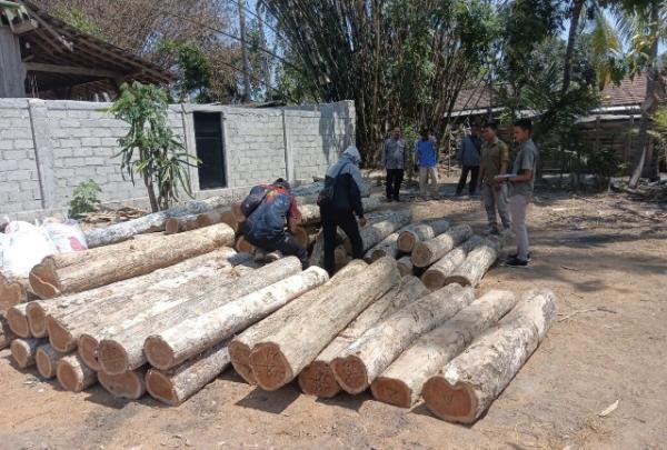 63 Batang Kayu Jati Diduga Hasil Pembalakan Liar Ditemukan di Rumah Kosong, Volumenya Bikin Kaget