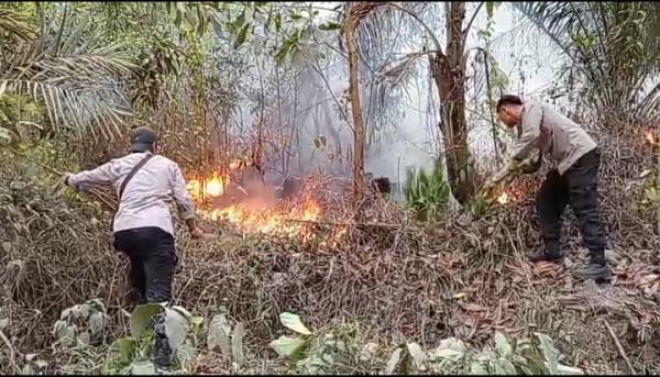 Lima Hektare Lahan Perkebunan di Cihara Lebak Terbakar, Angin Kencang Persulit Pemadaman ‎
