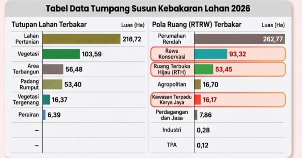 Fakta Dibalik 452 Ha Terbakar di Palembang, Pemkot Diminta Tak Salahkan Daerah Lain Soal Karhutla