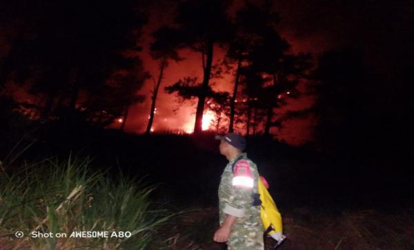 Akibat Kemarau Panjang Kebakaran Lahan di Malino Gowa Capai 15 Hektare