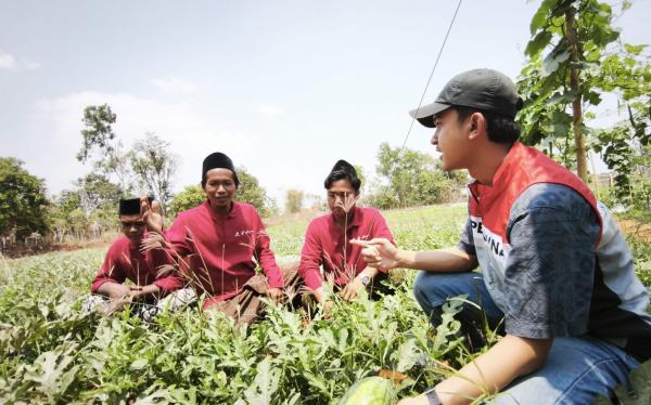 Tolak Merantau, Tiga Pemuda Madura Raup Penghasilan dari Lahan Tandus