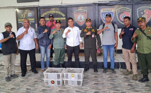 21 Nuri Hitam Ilegal Disita Polisi dari KM Sinabung di Pelabuhan Sorong
