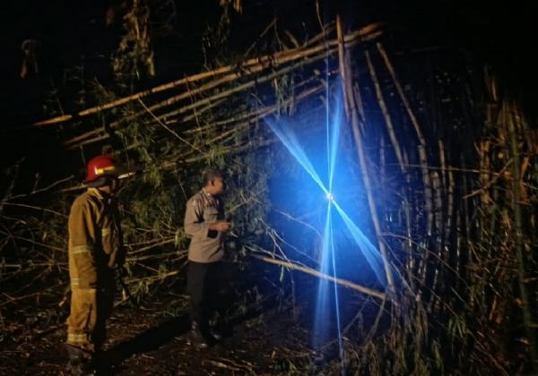Gegara Bakar Daun Kering, Lahan Bambu Milik Warga di Wirosari Grobogan Ikut Terbakar