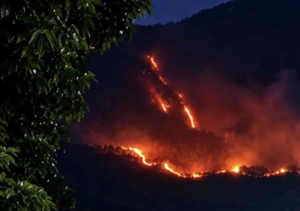 Karhutla Gunung Arjuno-Welirang Meluas ke Empat Daerah, 100 Lebih Petugas Dikerahkan