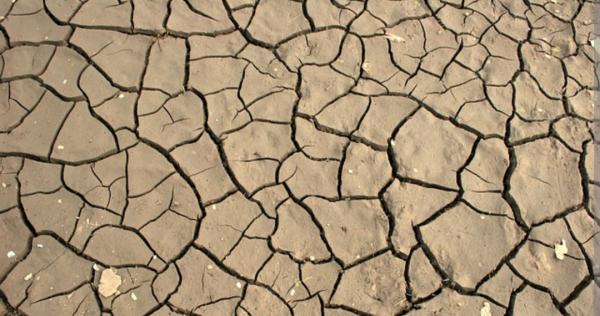 Kekeringan di Takokak Cianjur Lumpuhkan Sekitar 500 Hektare Sawah Warga