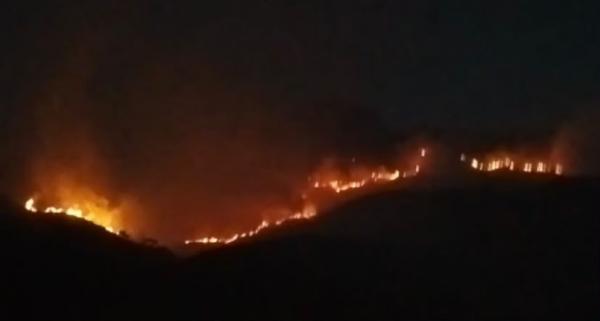 Kebakaran Gunung Sumbing, 71 Pendaki Berada di Atas Diminta Turun