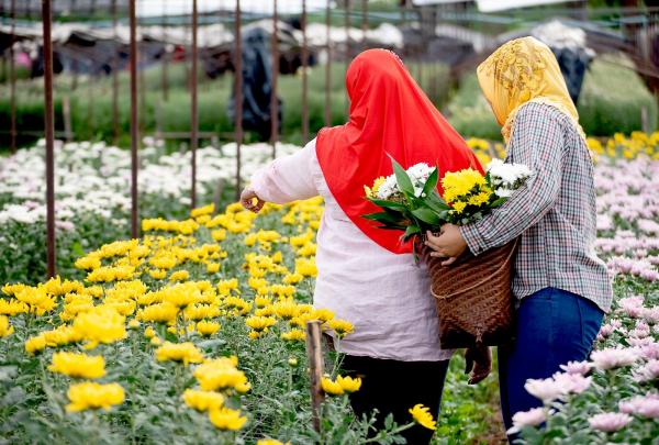 Ide Liburan di Malang dan Batu, dari Berburu Kuliner hingga Menjelajah Sejarah