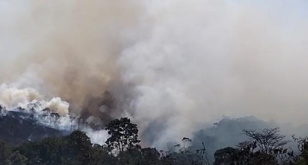 BMKG Ungkap Penyebab Kabut Asap di Pulau Sumba, 65 Titik Panas Terdeteksi