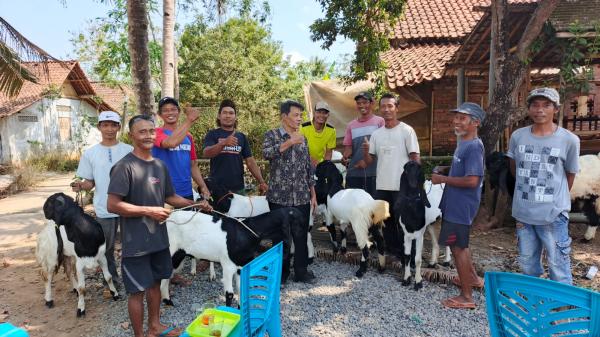 Kelompok Tani di Banyuurip Purworejo Terima 11 Kambing Etawa dari DPRD Purworejo