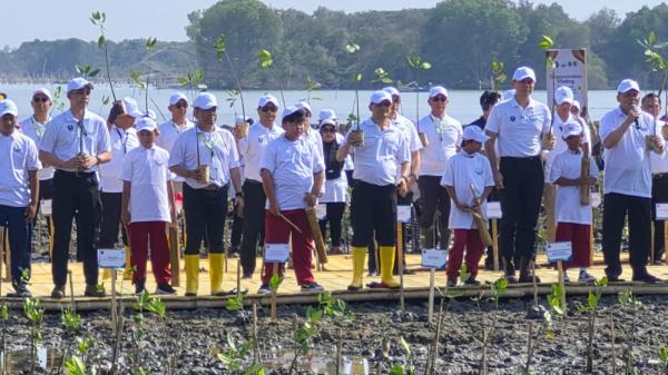 Cegah Rob dan Abrasi, Pelindo Dukung Pemulihan Pesisir Demak