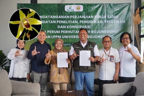 Jaga Habitat Anggrek Larat Hijau, Unigoro dan Perhutani Kembangkan Hutan Pendidikan