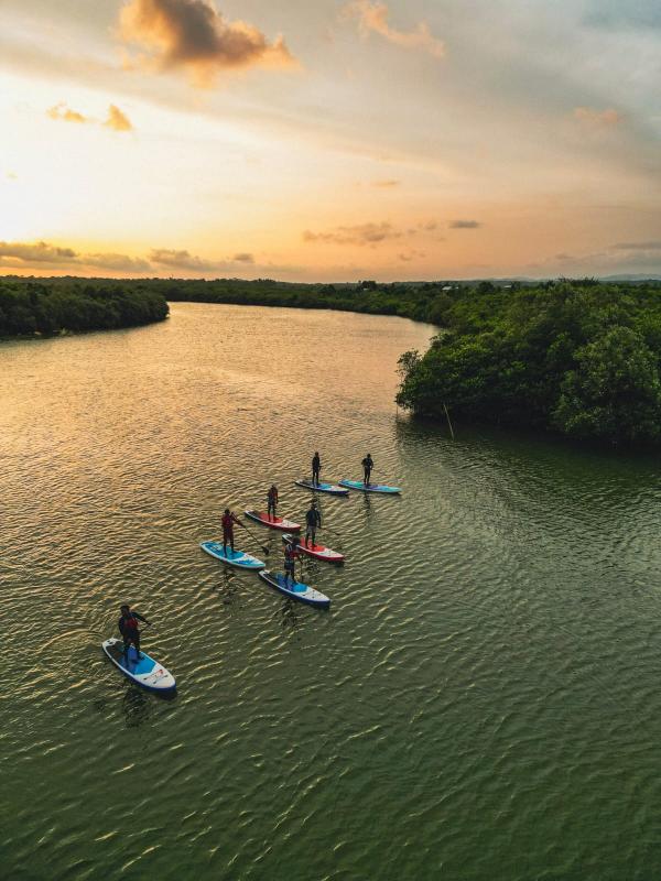 Konservasi Mangrove Demangkarta Cilacap Raih Pengakuan Tingkat Asia