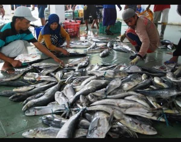 Meski Diterjang Cuaca Buruk dan Lonjakan BBM, Hasil Tangkap Nelayan Subang Naik 12 Persen Tahun Ini