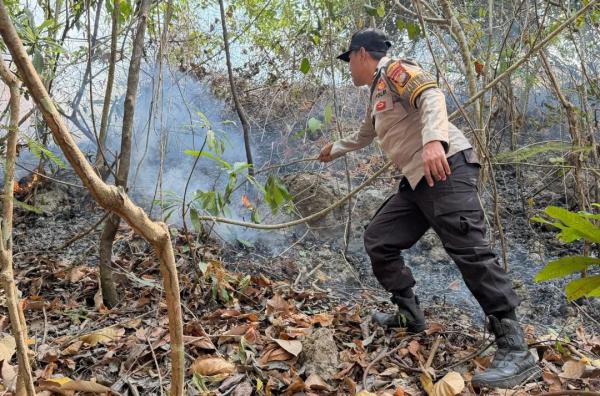 Lahan di Buttu Pamboang Terbakar, Bhabinkamtibmas dan Warga Berjibaku Padamkan Api