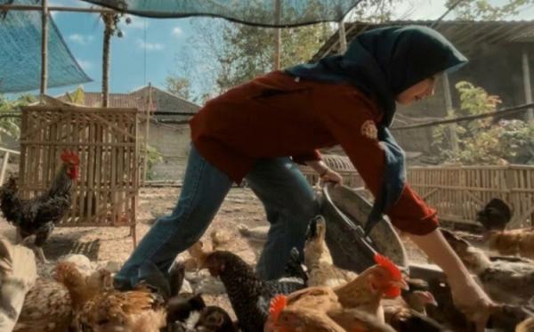 Kisah Sukses Mahasiswa UGM Anjeli Astriani, Sulap Beasiswa Rp500.000 Jadi Ratusan Ayam