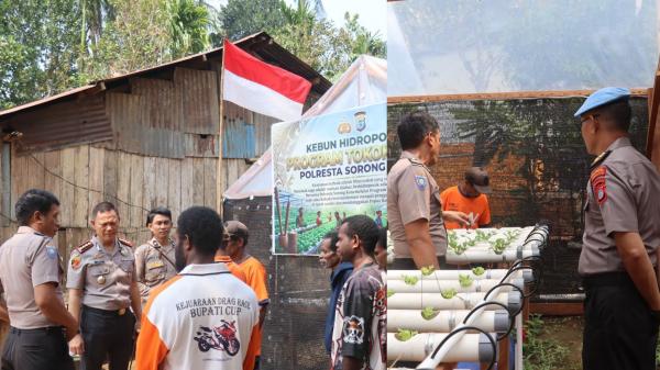 Terobosan Kapolresta Sorong Kota: Ubah Kawasan Rawan Jadi Kebun Hidroponik Lewat Program POLIRAN