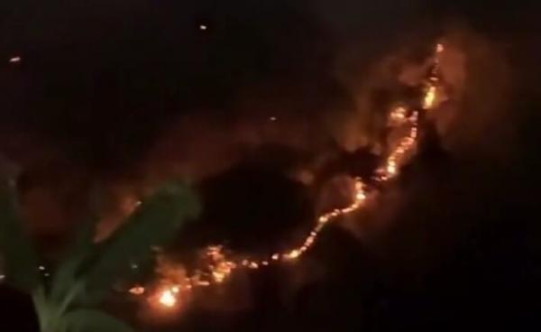 Kebakaran Lahan Bambu Terjadi di Bandung Barat, Api Merembet Cepat Sulitkan Petugas Damkar