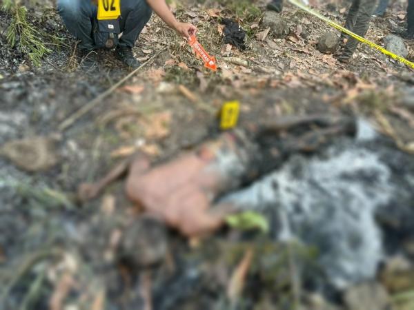 Geger! Pria di Manggarai Timur Ditemukan Tewas di Area Kebun Terbakar