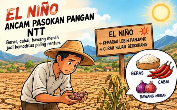 El Nino Ancam Pasokan Pangan NTT dan Indonesia Timur, Harga Beras hingga Cabai Jadi Sorotan