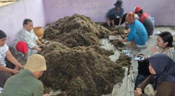 ‎Teknologi BRIN, Targetkan Hemat Biaya Pupuk Petani Tangerang hingga 30 Persen