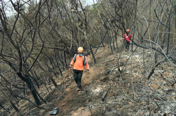 Antisipasi Karhutla Meluas, BPBD Jateng Minta Seluruh Jalur Pendakian Gunung Ditutup Sementara
