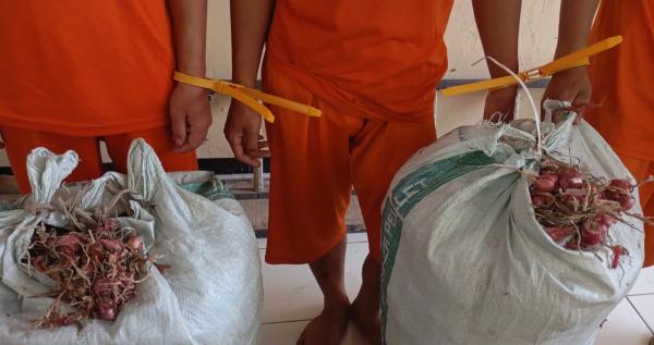 Tiga Pemuda di Garut Ditangkap, Diduga Curi 500 Kilogram Bawang Merah Berulang Kali
