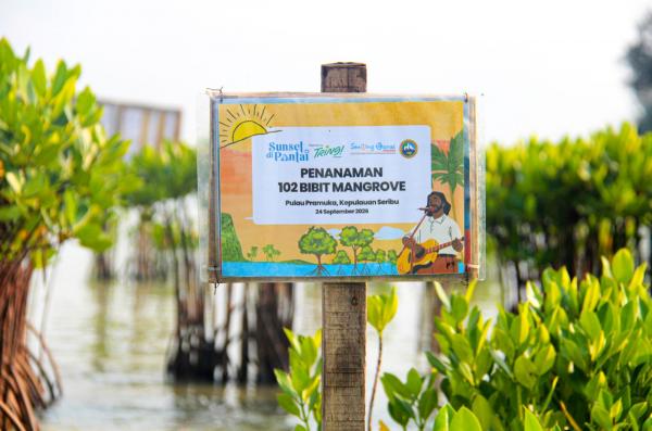 Tak Hanya Konser Musik, Sunset di Pantai 2026 Ajak Penonton Tanam Mangrove di Pulau Pramuka