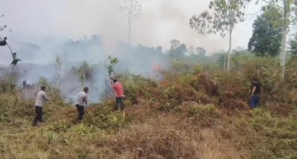5 Hektare Kebun Kopi dan Durian di Mamasa Hangus Terbakar, Damkar Terkendala Akses