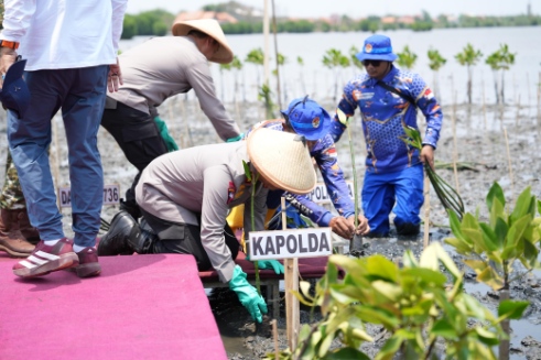 Cegah Rob dan Abrasi 400 Hektare, Kapolda Jateng Tanam 1.000 Mangrove di Batang lewat Green Policing