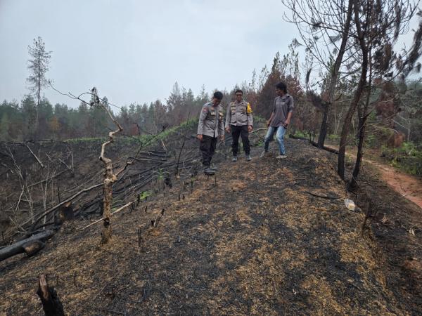 3.000 Pohon Kopi dan Cokelat Milik Petani di Mamasa Hangus Terbakar, Kerugian Rp 30 Juta