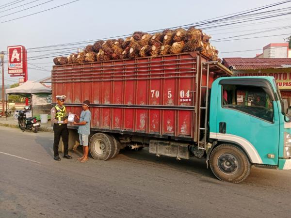 Truk Sawit Overload Tanpa Jaring Pengaman Marak di Pasangkayu, Polisi Razia Petunjuk Keselamatan