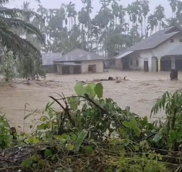 Banjir Terjang Alue Keutapang Pidie Jaya, Hujan Deras Picu Luapan Air