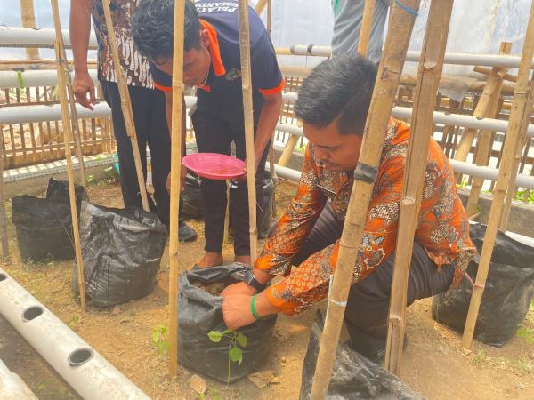 Warga Binaan Lapas Arjasa Belajar Bertani Modern, Melon Golden Jadi Andalan, Begini Tekniknya