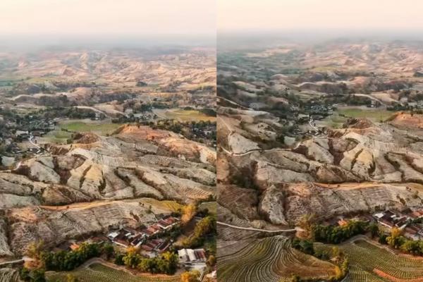Pulihkan Hutan Gundul, Bojonegoro Siapkan Gerakan Reboisasi Besar-besaran Tahun 2027